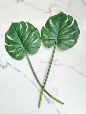 Set/2 Monstera Leaf Stems